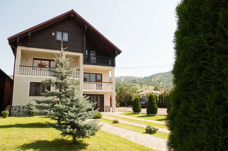 Pensiune Borsa Exterior photo