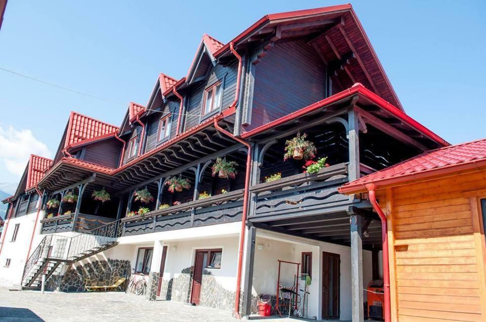 Pensiune Borsa Exterior photo